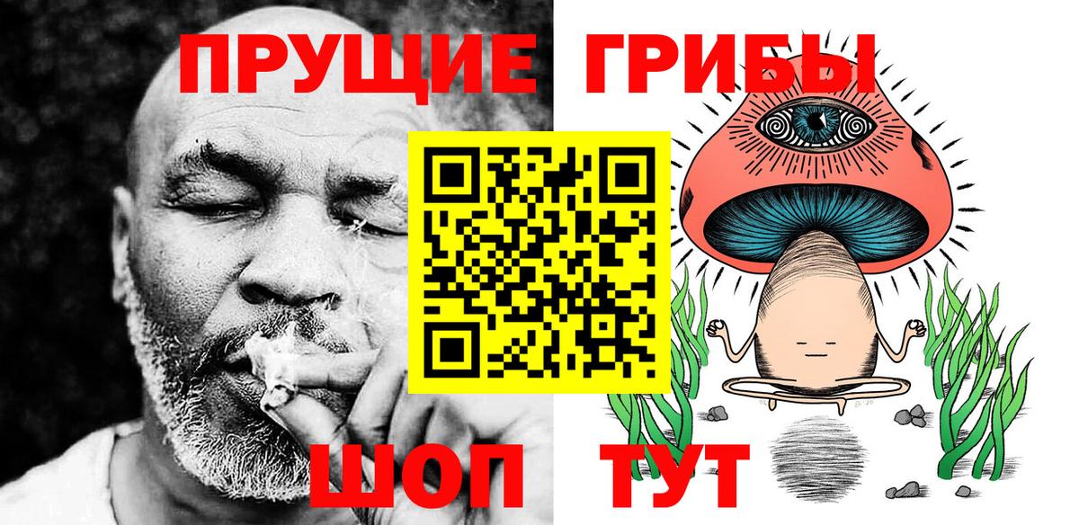 Псилоцибиновые грибы мицелий  Вход с VPN  Сердобск 